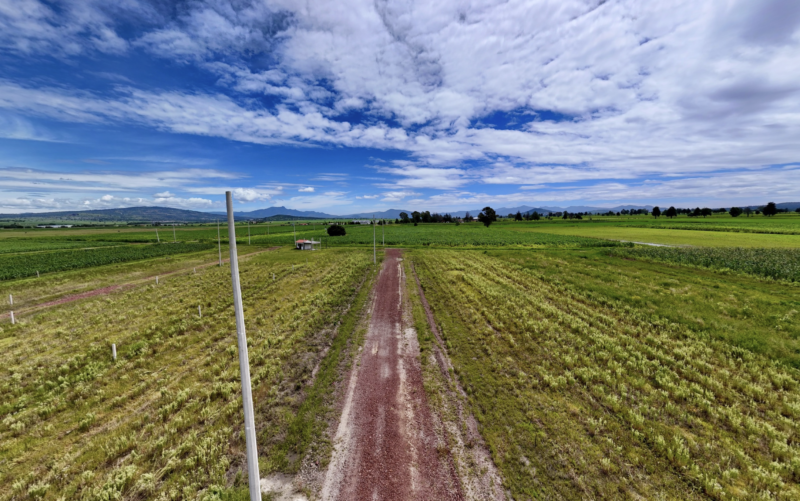 Lote de Inversión, Muñoz de Domingo Arenas