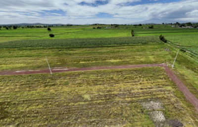 Terreno De Inversión 200 m²