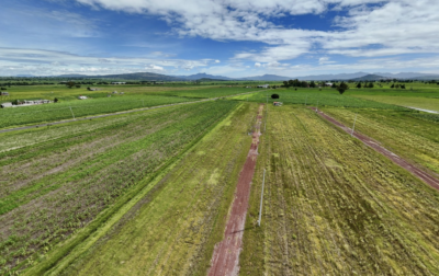 Terreno De Inversión 200 m²